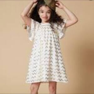 Velveteen Rosemary white gold chevron dress size 8